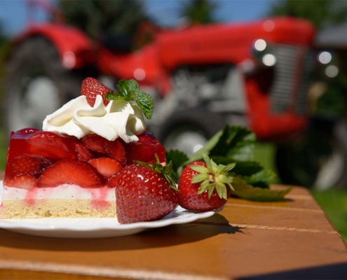 Erdbeertorte- mit frisch geernteten Erdbeeren