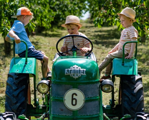 Oldtimer Trecker in der Plantage begeistert die Kinder...