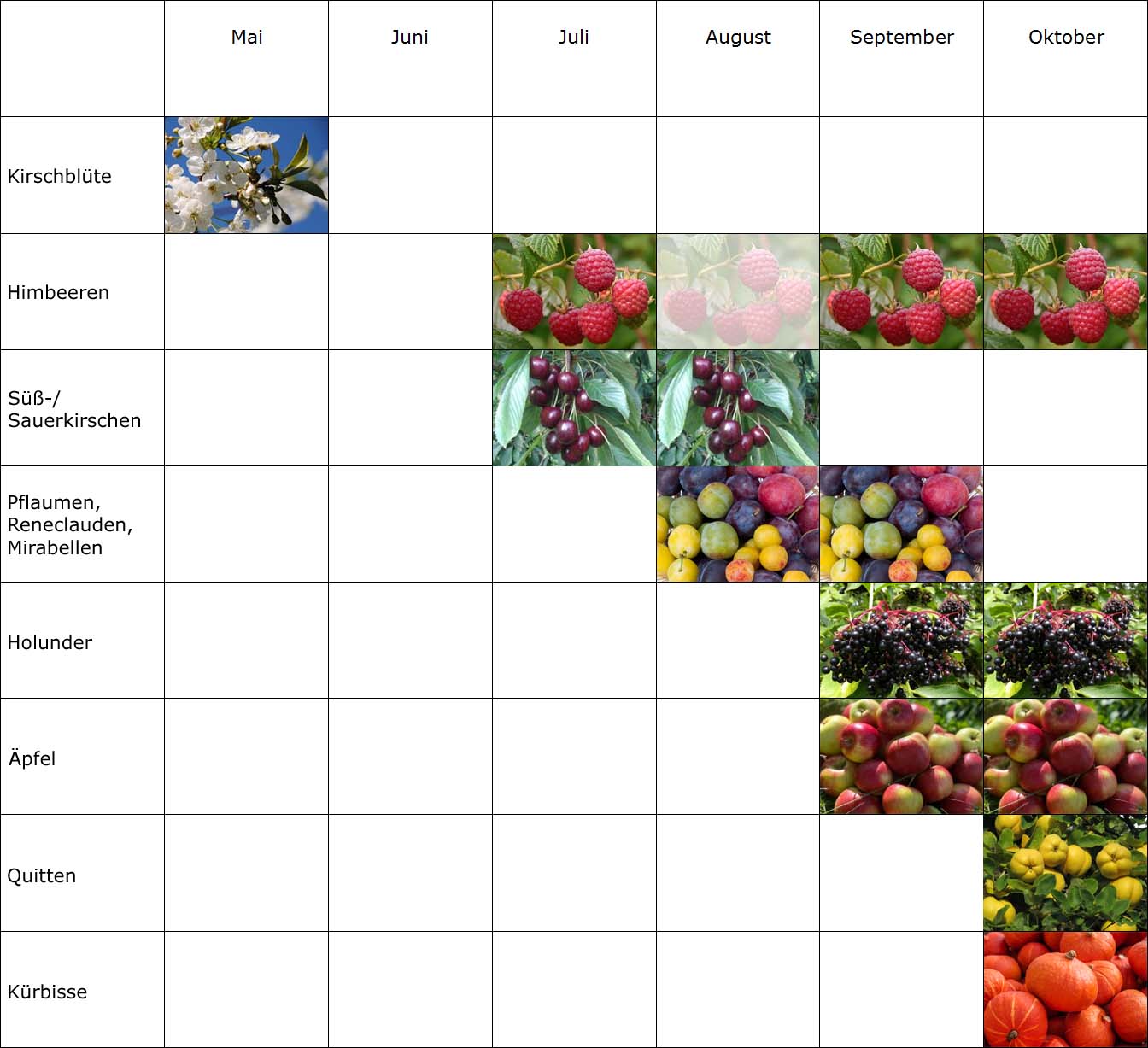 Erntekalender Erntekalender